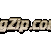 Продавам домейна BgZip.com, снимка 1 - Резервни части за телефони - 39988048