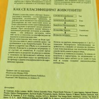 "Чудният свят на животните" албум, снимка 2 - Детски книжки - 40724538