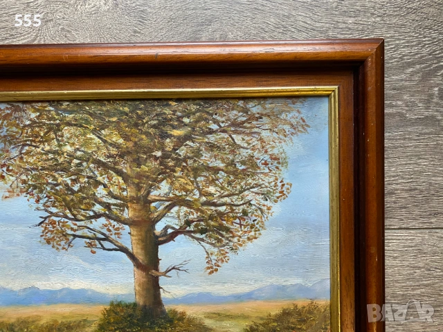 Картина масло - пейзаж, снимка 3 - Картини - 53306849