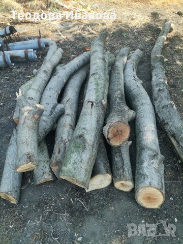 Орехов материал , снимка 4 - Дърводелски услуги - 34289041