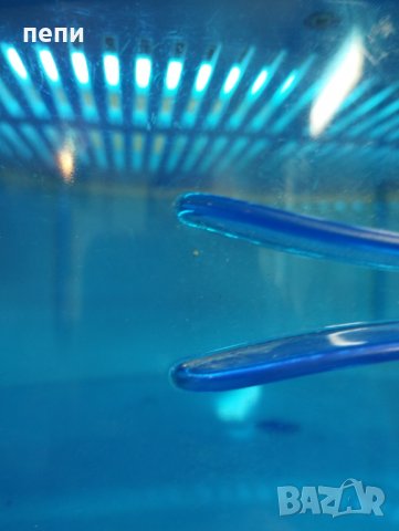 Стерилизатор , снимка 2 - Друга електроника - 39485212