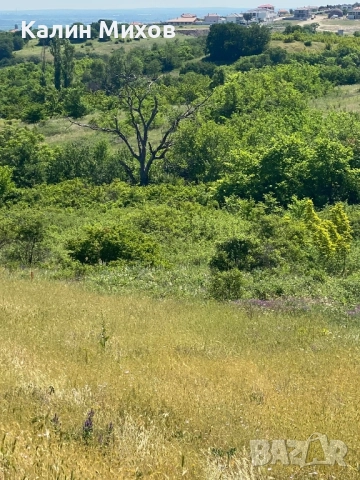 земеделска земя намираща в землището на село Белащица и Марково, снимка 10 - Земеделска земя - 52448452