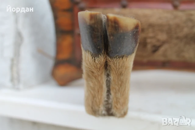 Закачалка за ловна хижа, снимка 5 - Колекции - 50728297