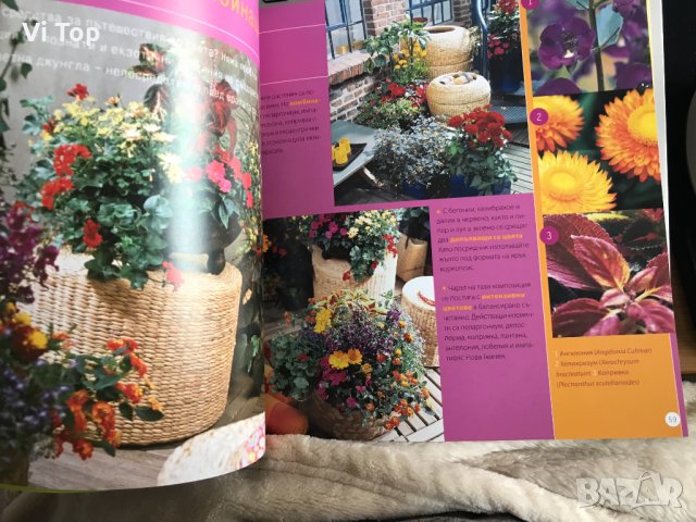 Готварска книга на шеф Манчев,и "333 идеи за цветя", снимка 13 - Специализирана литература - 33977925