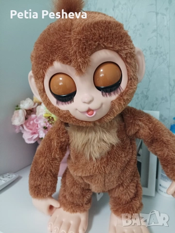 Маймунка Фъстъче