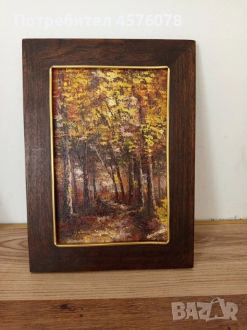 Стари картини, рамкирани с хубави рамки