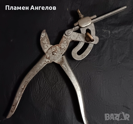 Стари клещи (ножици) за чапраз. 