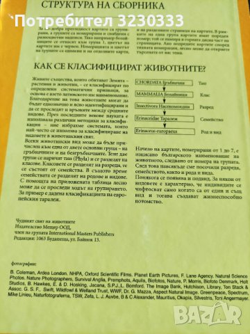 "Чудният свят на животните" албум, снимка 2 - Детски книжки - 40724538