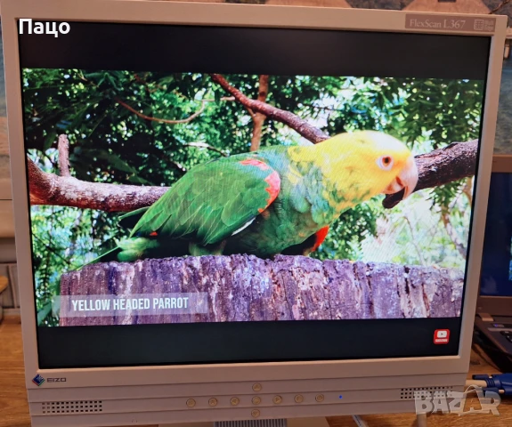 Eizo Flexscan L367 Lcd , снимка 14 - Монитори - 50844482