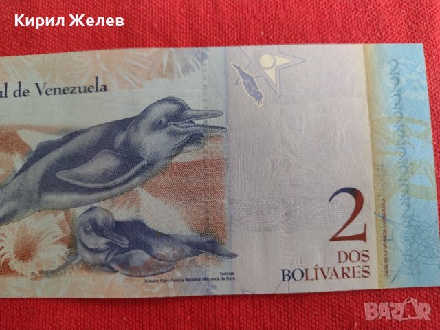 БАНКНОТА  УНИКАТ ВЕНЕЦУЕЛА ПЕРФЕКТНА НЕПРЕГЪВАНА МНОГО КРАСИВА ЗА КОЛЕКЦИЯ ДЕКОРАЦИЯ 29016, снимка 7 - Нумизматика и бонистика - 37365977