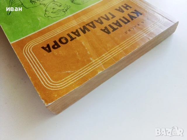 Купата на Гладиатора - Лев Касил - 1975г., снимка 8 - Художествена литература - 51008196