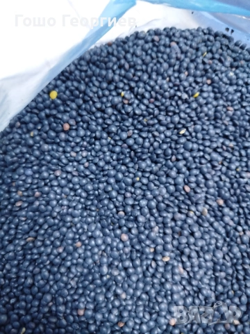 Черна леща/белуга за варива,салати,предястия