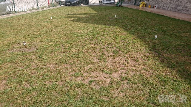 Възтановяване/поправка/сгъстяване на тревната покривка.Затревяване/засаждане с професионална машина, снимка 4 - Други - 42643416