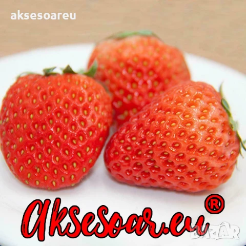 100 бр. семена от гигантска ягода градинско плодово растение сладки и вкусни червени отлични ягоди , снимка 8 - Сортови семена и луковици - 50619358