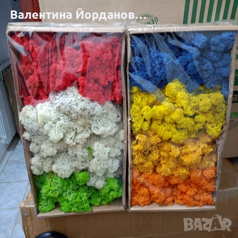 скандинавски мъх , снимка 6 - Декорация за дома - 53371738