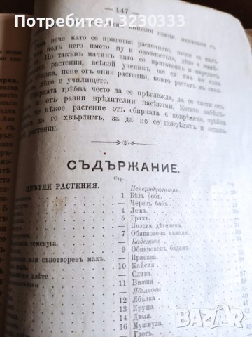 "Св. история"И Р.Блъсков 1895г.+Ботаника, снимка 4 - Антикварни и старинни предмети - 40739785