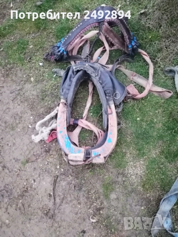 Конски хамут , снимка 11 - Други животни - 52506534