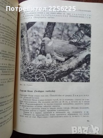 Дивеч и лов, снимка 5 - Специализирана литература - 50161294