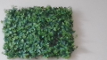 Изкуствена зеленина - пано за стена, снимка 1 - Изкуствени цветя - 44696081