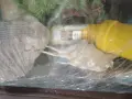 9л Аквариум чисто нов с аксесоари, снимка 7
