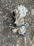 заден диференциал Nissan X-trail 2.2 Dci 2005г., снимка 1