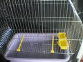 Клетка за големи папагали  Много голяма XXL с объл покрив- големи птици , снимка 3