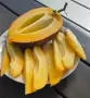 Разсад ПЕПИНО Пъпешово дърво . Сорт (Solanum Muricatum) ▪️Развива се много бързо , снимка 1