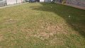 Възтановяване/поправка/сгъстяване на тревната покривка.Затревяване/засаждане с професионална машина, снимка 4