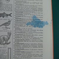  Енциклопедичен речник Larousse, снимка 13 - Енциклопедии, справочници - 40447737