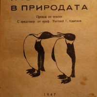 Старинни медицински книги и учебници, снимка 8 - Енциклопедии, справочници - 31202530