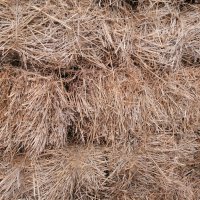 Бали пшеничена слама , снимка 1 - За селскостопански - 42414327