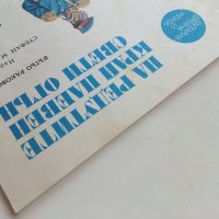 На редутите край Плевен свети огън - Вътьо Раковски - 1977г., снимка 10 - Детски книжки - 39757534