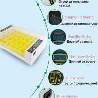 Автоматичен инкубатор за 24 броя яйца, снимка 8 - Други стоки за животни - 39262579