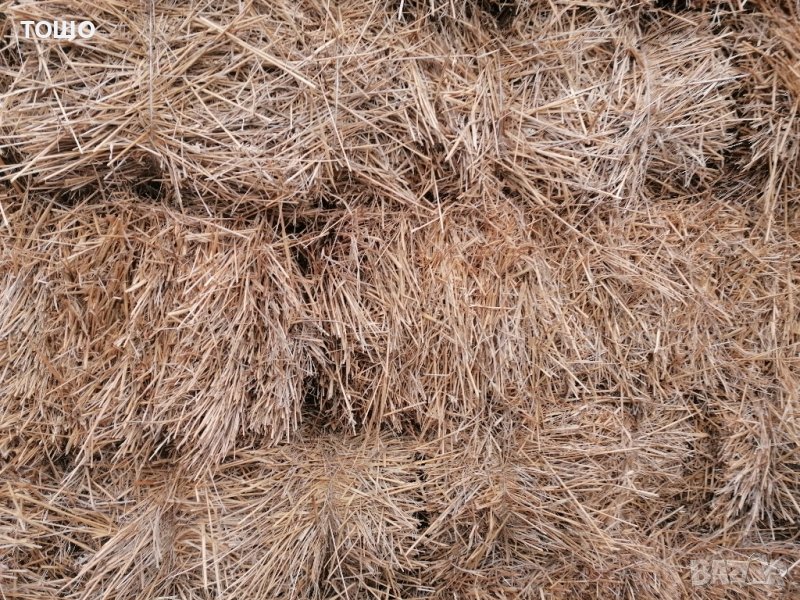 Бали пшеничена слама , снимка 1