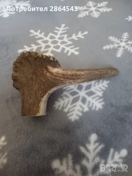 Еленски рог , снимка 1