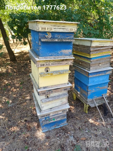 Сандъци за кошери, снимка 1