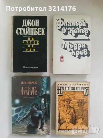 Мъдра кръв - Фланъри О'Конър (Отлично състояние)