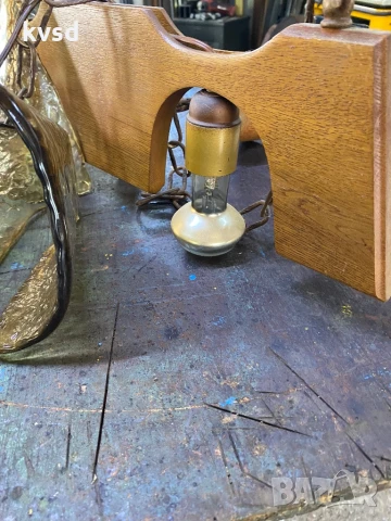 Полилей , снимка 4 - Полилеи - 51006603