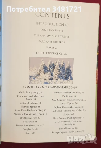 Справочник на дърветата по света / A Concise Guide to Trees, снимка 2 - Енциклопедии, справочници - 50869544