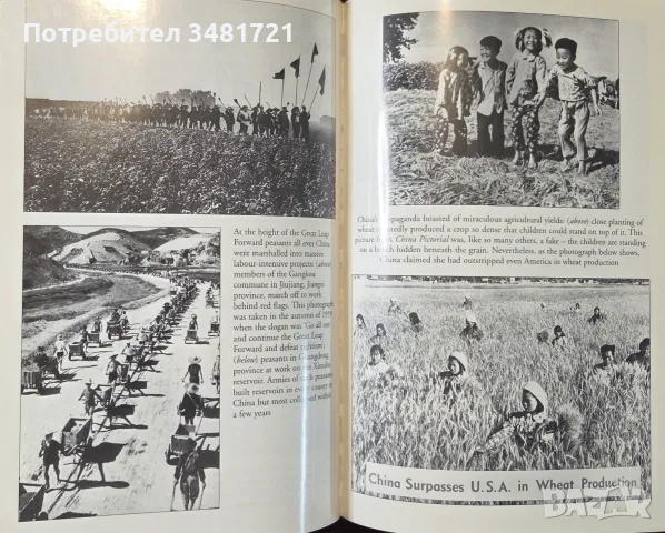 Hungry Ghosts. China's Secret Famine, снимка 6 - История, политика и общество - 55964216