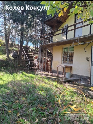 Вила град Харманли ,Старите лозя