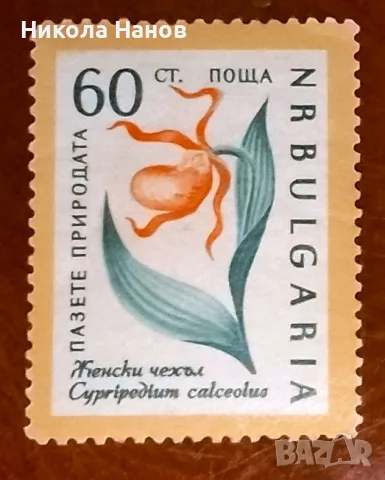 Български пощенски марки с цветя. Серия "Пазете природата". 1960 г., снимка 6 - Филателия - 55865910