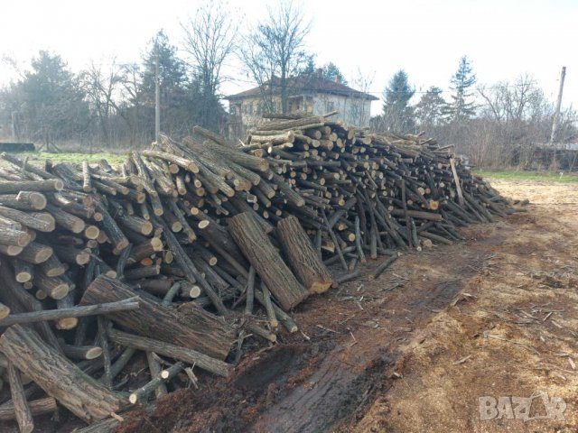 Дърва за огрев "Акация", снимка 8 - Дърва за огрев - 35403693