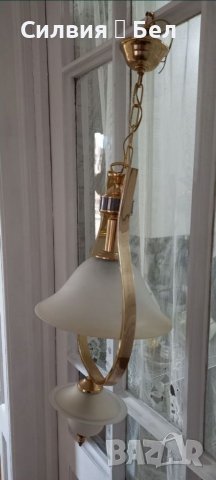 Красив полилей , снимка 9 - Полилеи - 39742349