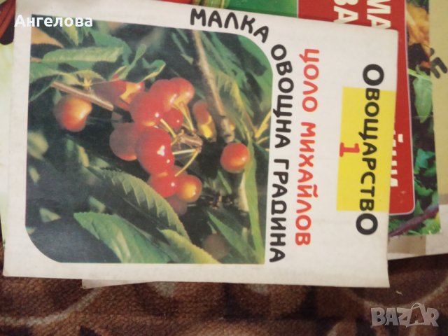 Книги, снимка 13 - Други - 32135778