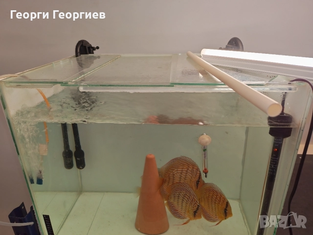 Прпдавам аквариуми, снимка 2 - Аквариуми - 52309322