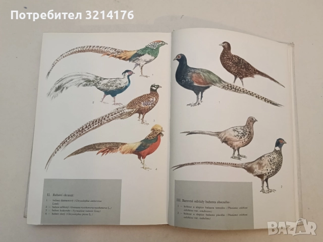 Основи на селекцията - Генчо Генчев, снимка 6 - Специализирана литература - 51428552
