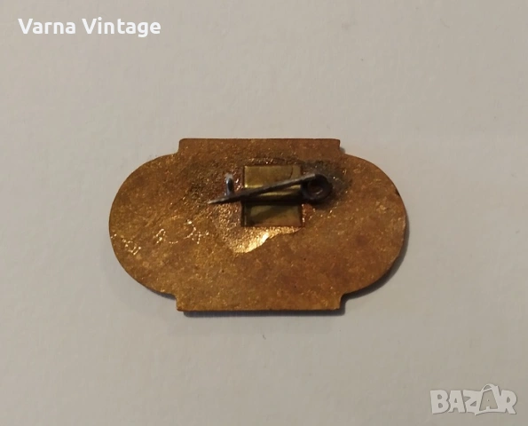 Значка ДСО Корабоплаване 1000000т. флот 1969. емайл. БНР., снимка 4 - Колекции - 53349375