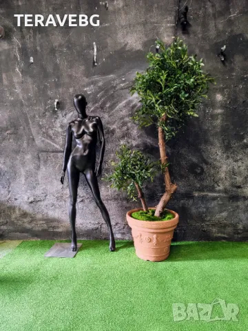 Изкуствени дървета и растения , снимка 4 - Изкуствени цветя - 48672514