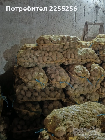 Картофи , снимка 2 - Домашни продукти - 52497687